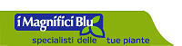 i magnifici blu