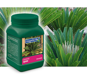 concime idrosolubile per cycas