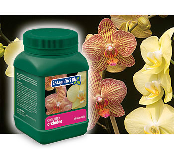 concime idrosolubile per orchidee